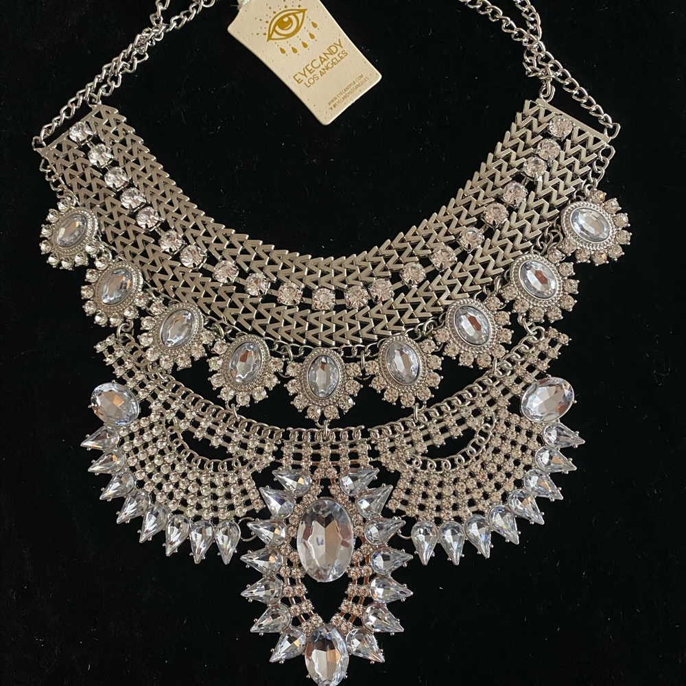 EyeCandy Los Angeles Zamia statement necklace.  Silver